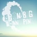 BONNIE PINK̋/VO - Spin Big