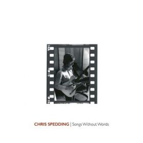 New Song of Experience / Chris Spedding