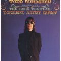 Ao - The Ever Popular Tortured Artist Effect / Todd Rundgren