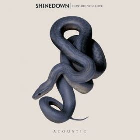 How Did You Love (Acoustic) / Shinedown