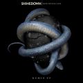 Ao - How Did You Love (Remixes) / Shinedown