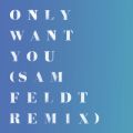 Rita Ora̋/VO - Only Want You (Sam Feldt Remix)