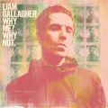 Ao - Why MeH Why NotD (Deluxe Edition) / Liam Gallagher