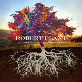 Nothing Takes the Place of You / Robert Plant