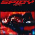 Spicy (featD J Balvin, YG, Tyga  Post Malone) [Remix]