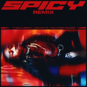 Spicy (featD J Balvin, YG, Tyga  Post Malone) [Remix] / Ty Dolla $ign