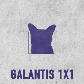 1x1 / Galantis