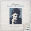 Ao - Then Again: The David Sanborn Anthology / David Sanborn