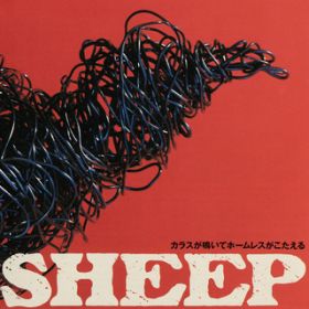 JXăz[X / SHEEP