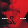 Dua Lipa̋/VO - Houdini (Adam Port Mix)