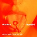 Dua Lipa̋/VO - Houdini (Danny L Harle Slowride Mix)