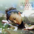 Jasmine Flower -̕-