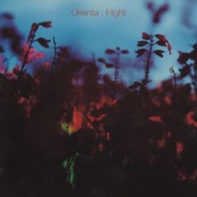 Ao - FLIGHT / ORIENTA