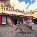 Ao - The Best Of Freddie King: The Shelter Years / tfBELO