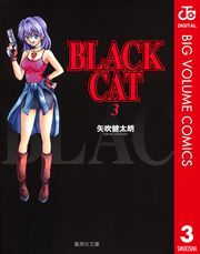 dq - BLACK CAT 3 / N