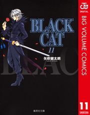 dq - BLACK CAT 11 / N