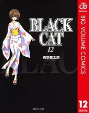 dq - BLACK CAT 12 / N