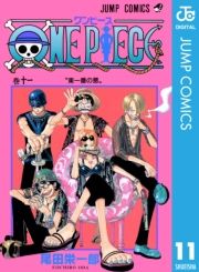 dq - ONE PIECE mN 11 / chY