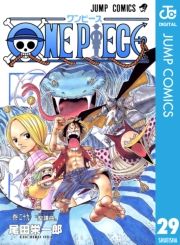 dq - ONE PIECE mN 29 / chY
