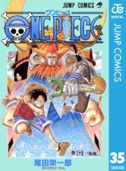 dq - ONE PIECE mN 35 / chY