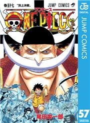 dq - ONE PIECE mN 57 / chY