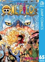 dq - ONE PIECE mN 65 / chY