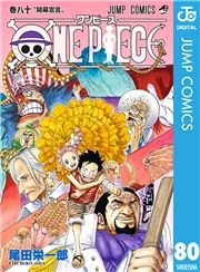 dq - ONE PIECE mN 80 / chY