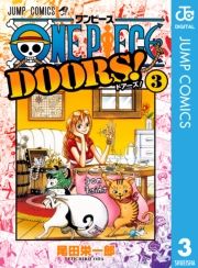 dq - ONE PIECE DOORS! 3 / chY