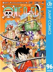 dq - ONE PIECE mN 96 / chY
