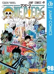 dq - ONE PIECE mN 98 / chY