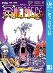 dq - ONE PIECE mN 103 / chY