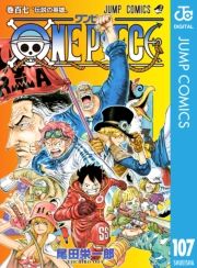 dq - ONE PIECE mN 107 / chY