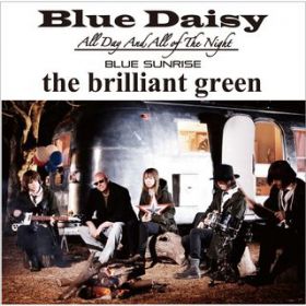 Blue Daisy / the brilliant green