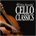 Concerto for Two Cellos in G Minor, RV 531: II. Largo feat. Christophe Coin/Paolo Beschi
