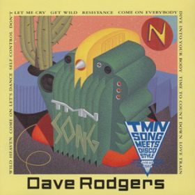 TIME TO COUNT DOWN(EXTENDED TECH) / DAVE RODGERS