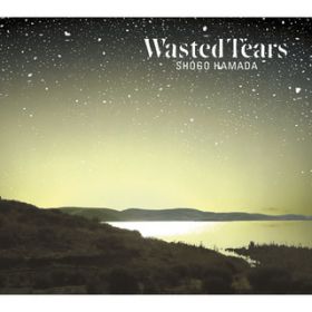 Ao - WASTED TEARS / lc Ȍ