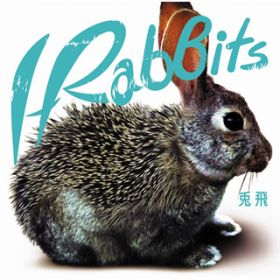 Ao -  / I-RabBits
