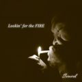 Surwind̋/VO - Lookinf for the FIRE