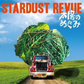 z̏_ / STARDUST REVUE