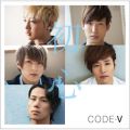 CODE-V̋/VO - 14
