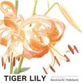 Ao - TIGER LILY / Kenmochi Hidefumi