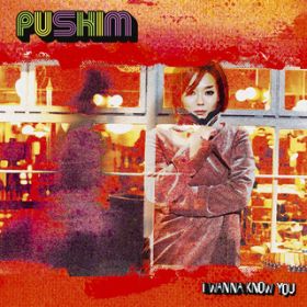 Ao - I Wanna Know You / PUSHIM