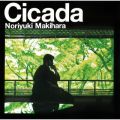 ꠌ hV̋/VO - `introduction for Cicada`