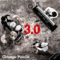 Ao - 3D0 / Chicago Poodle