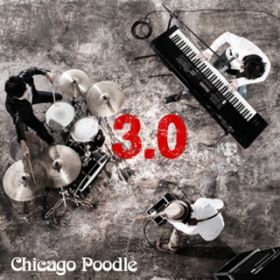 ₷() / Chicago Poodle