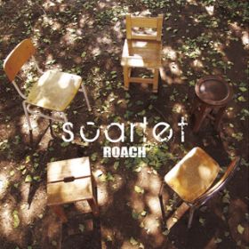 scarlet / ROACH