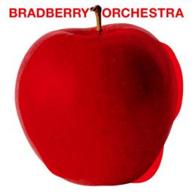 LOVE CHECK / Bradberry Orchestra