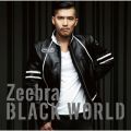 Ao - Black World/White Heat / Zeebra