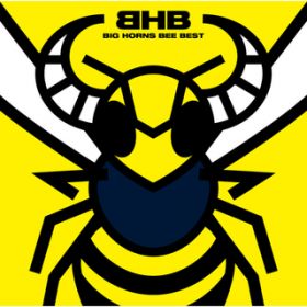 Ao -  / BIG HORNS BEE