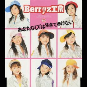 ȂȂł͐Ă䂯Ȃ / BerryzH[